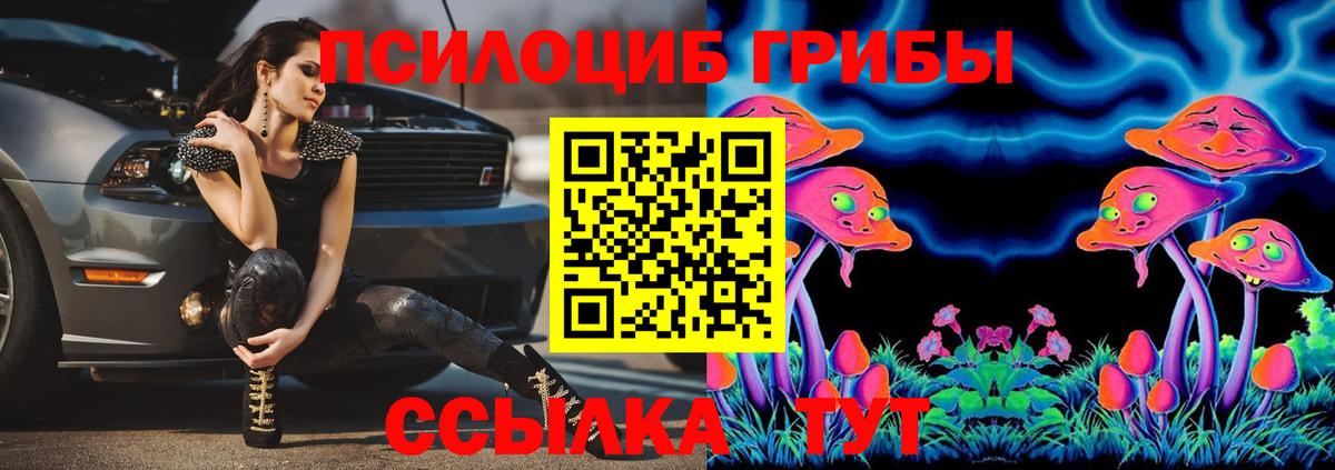 Псилоцибиновые грибы мухоморы  Псилоцибиновые грибы Psilocybine cubensis  Вход с VPN  Верхний Уфалей 